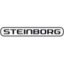 Steinborg Logo